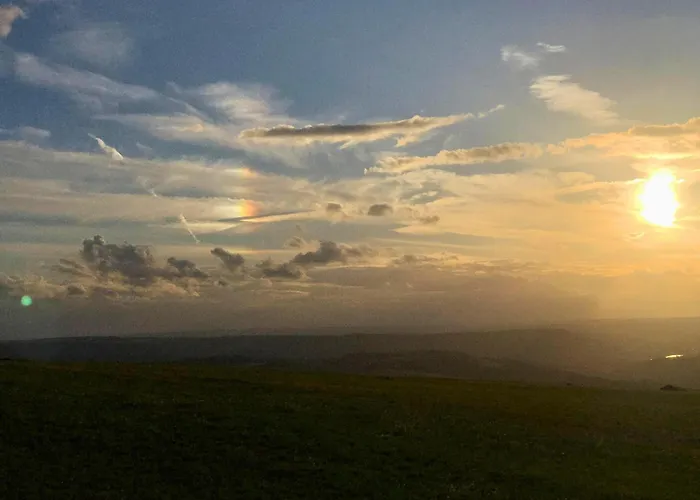 First-floor In ترير